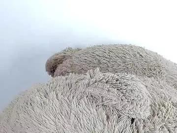 Freechat alison_ker on Chaturbate