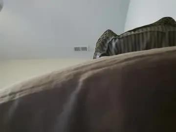 dilligentg81 — Freechat on Chaturbate