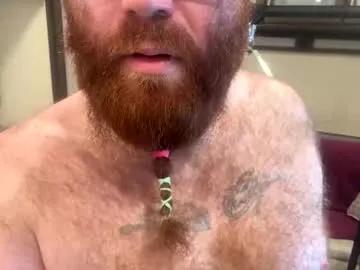 gingerbear3742 — Freechat on Chaturbate
