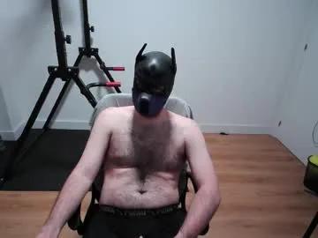 kaywolf89 — Kay's room #gay #hairy #pup #kinky