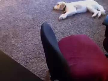 willwill2222 on Chaturbate 