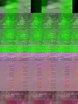 Aaisha-16 — Group on StripChat