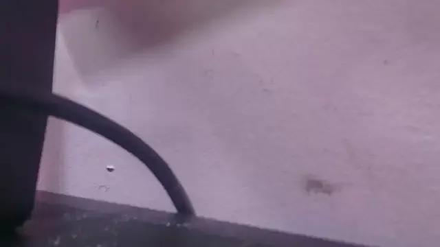 abbyrouss_ — SHOW ANAL