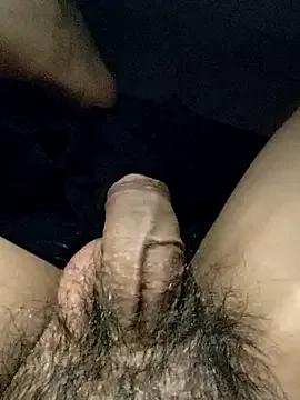 AOTEST-2904 — Cum, xut tinh