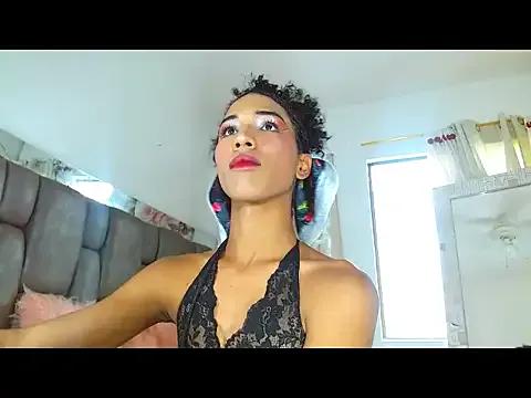 barbiepartytrans1 — cum show