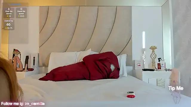 Carmilla_ — ride pillow + suck dildo