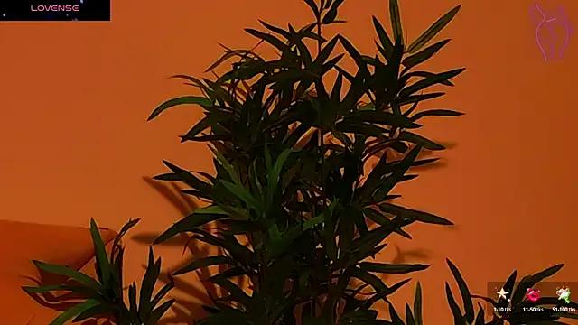 CoraVex — Get Me In The Pleasure Land:fire: