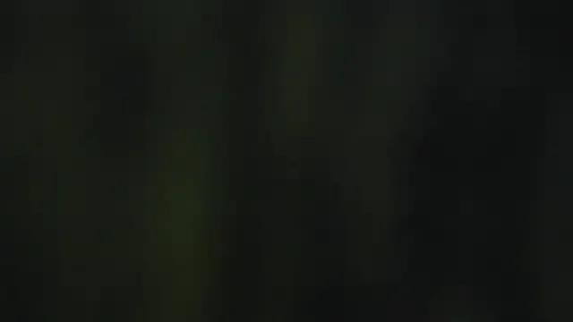 darlett_clk — Oil tits