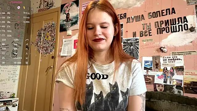 DollyPolly — body tour closely