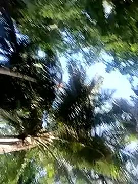 StripChat gulapi-gulistan180 is Freechat gulapi-gulistan180 — @Barsha137 msg me am new here fhul open