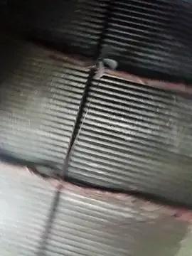 Haliya88 — show pussy