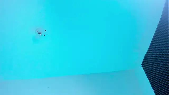 Im_naho — CONTROL OF OUR LUSH FOR YOU DDY (10MIN)