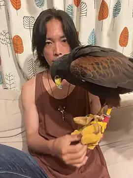 Freechat Katakuriko-Denpun on StripChat