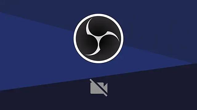 king_falconer — cum show