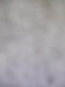 little_susie on StripChat 