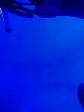 meridacute_ — flash boobs and cum