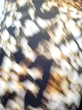 StripChat Notila-68 is Freechat Notila-68 —