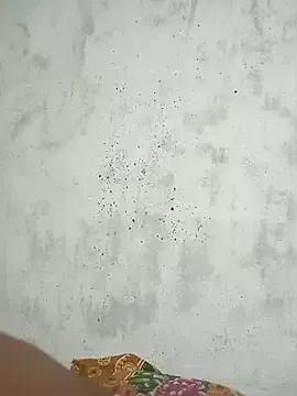 Freechat Softecho-03 on StripChat