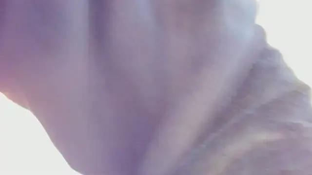 Freechat stephany_summer on StripChat